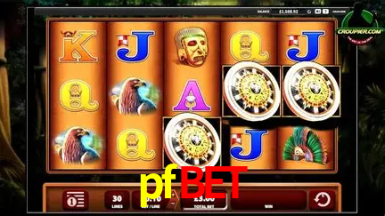 VIP Casino pfbet